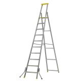 Ladder, Type A, 2.50 m, 10 steps
